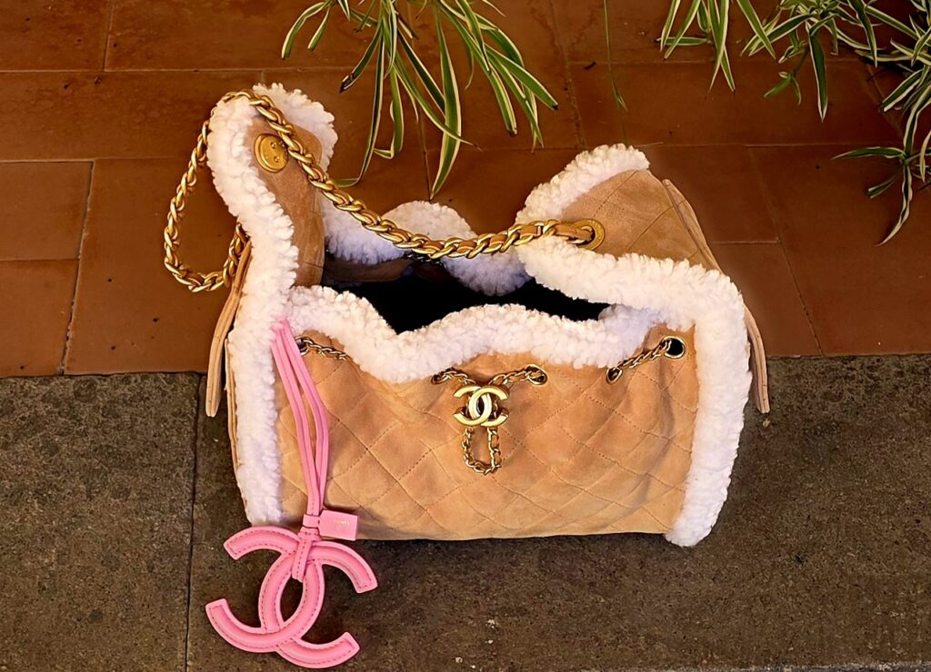 Chanel Petit Sac 25